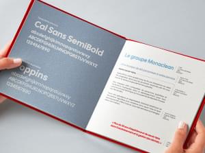 Charte graphique Monaclean - Design - Pix Associates
