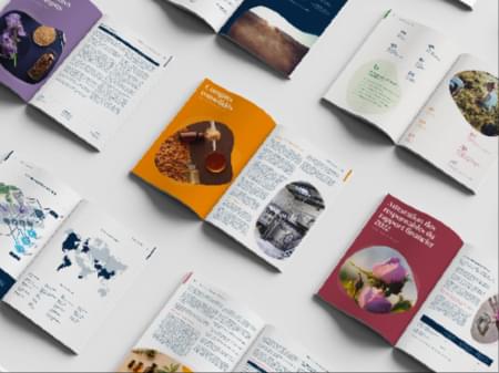 Rapport Robertet - Design - Pix Associates